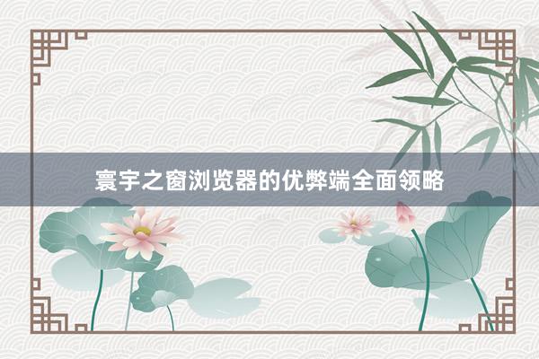 寰宇之窗浏览器的优弊端全面领略